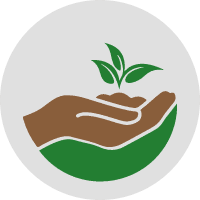 <strong>Regenerative Agriculture and Technology:</strong> Promoting sustainable farming to restore soil health, biodiversity, and farmer resilience.